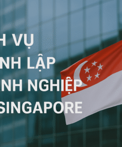 Dich vụ đăng ký  thanh lập doanh nghiệp tại Singapore